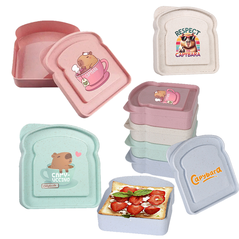 Food Storage Meals - Capybara Sandwich Voedselopbergdoos Container Salade Fruit