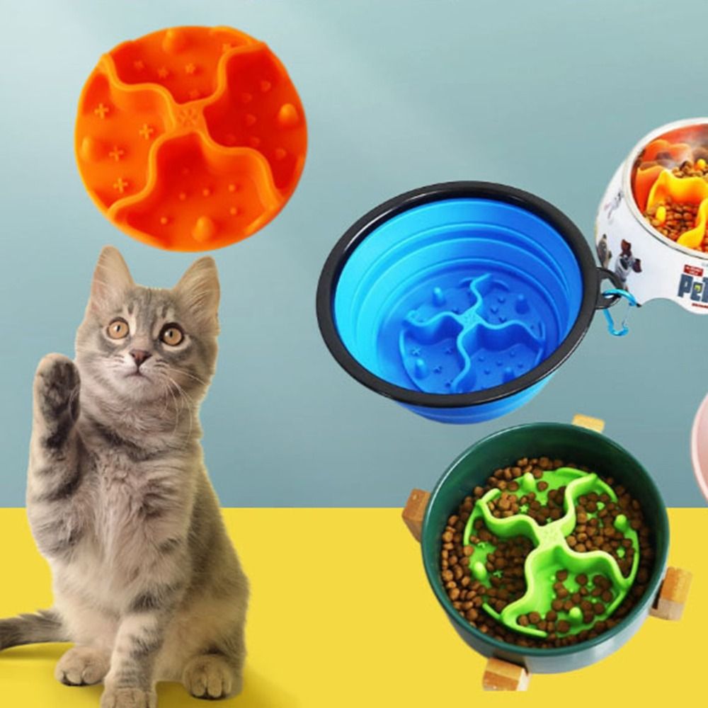 Nieuwe siliconen Slow Feeder-i - Food Storage With Dividers recensie en prijs