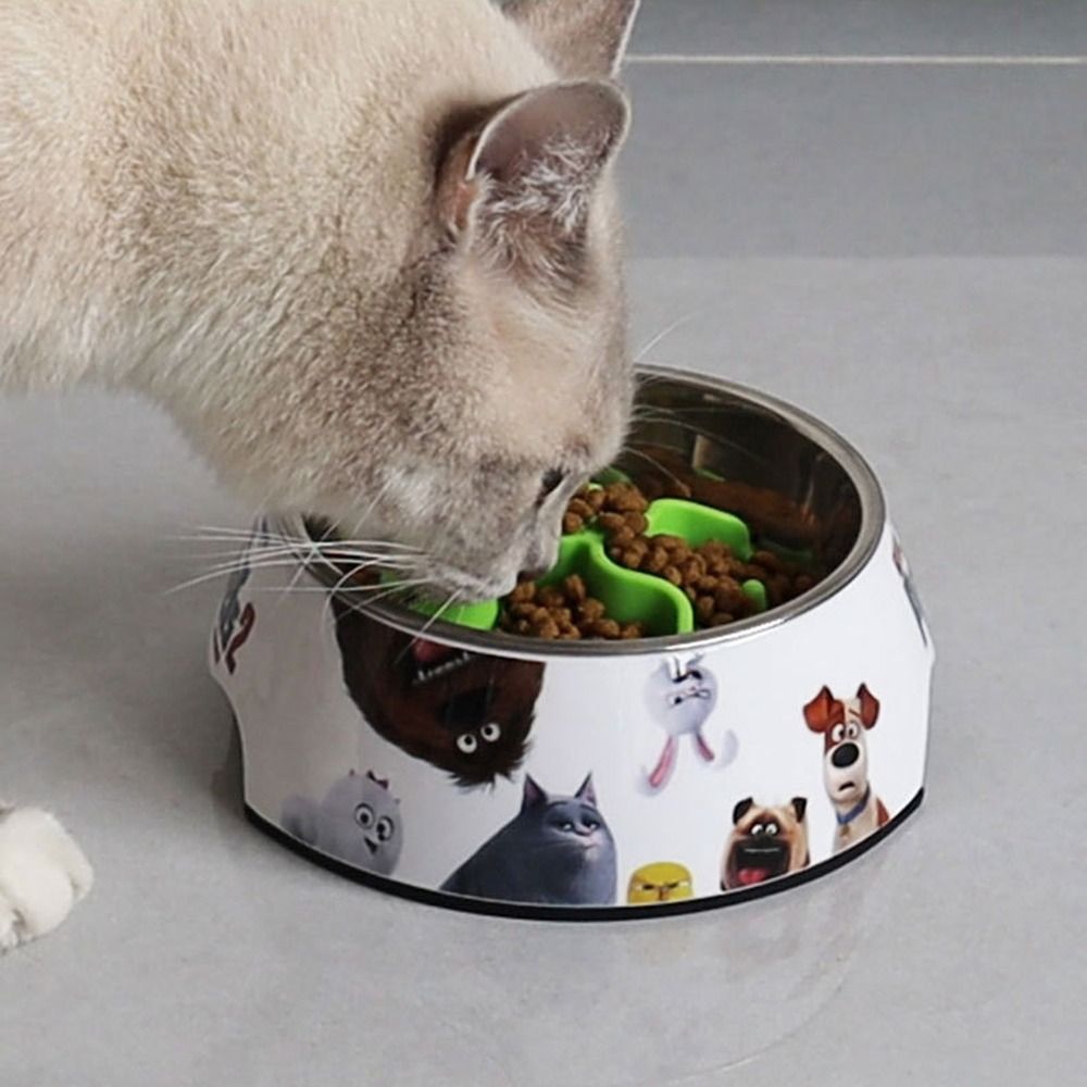 Nieuwe siliconen Slow Feeder-i - Food Storage With Dividers recensie en prijs